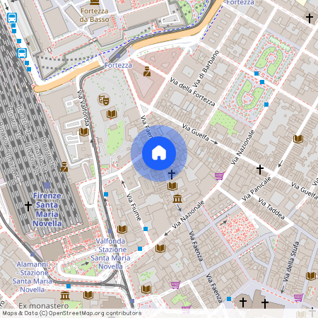 Via Faenza, Florence