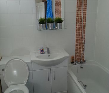 1 Bedroom House To Rent in Arboretum - Photo 4