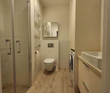 mieszkanie na wynajem Szczecin Płonia - Zdjęcie 5