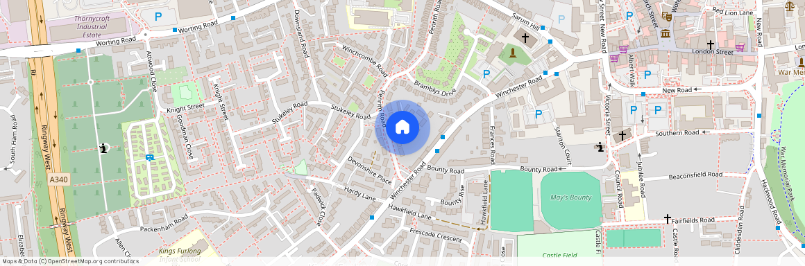 Chester Place, Basingstoke, RG21