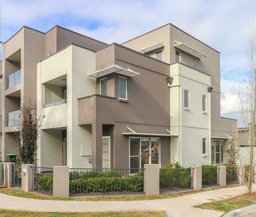 Perfect Size Property - Photo 2