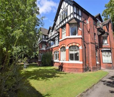 Apartment To Let - Photo 6