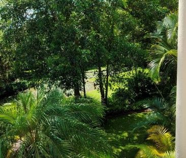 Live amongst the trees with direct access to Currumbin Creek and Th... - Photo 6