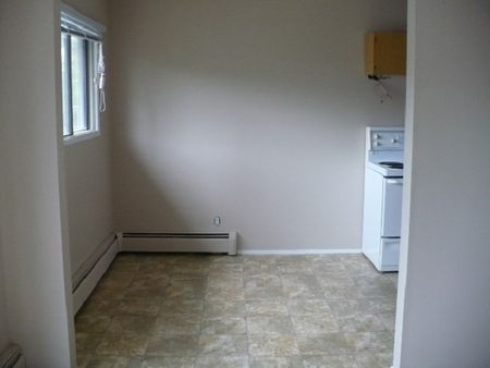 Pet Friendly 2 Bedroom Unit with In-Suite Laundry!! - Photo 3