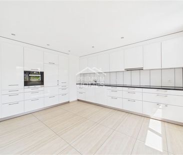 3.5 Zimmer, EG - Photo 1