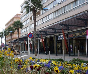 Location Appartement 1 pièce 30m² - Photo 3