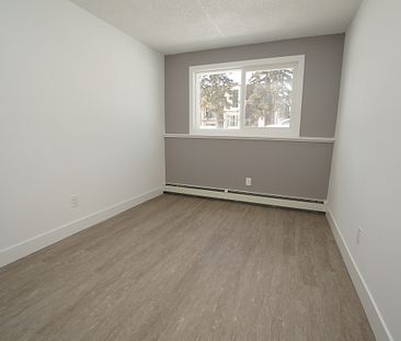 1 Bedroom - Photo 2