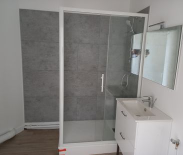 Appartement - 1 pièce - 39 m² - Laval - Photo 3