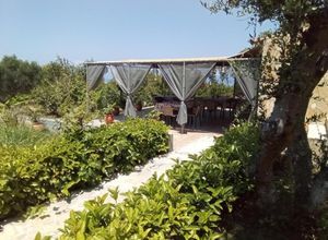 Studio/Γκαρσονιέρα για ενοικίαση - Κάστρο Κυλλήνης, - Photo 4
