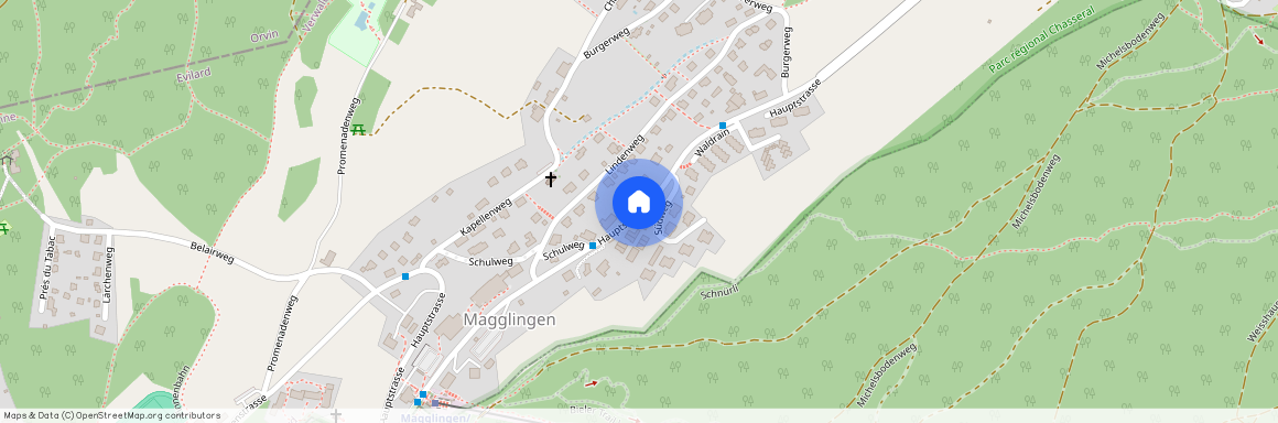 2532 Magglingen/Macolin