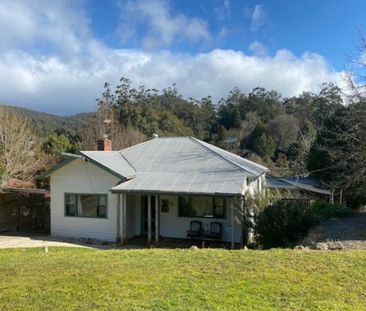 Warburton - Photo 5