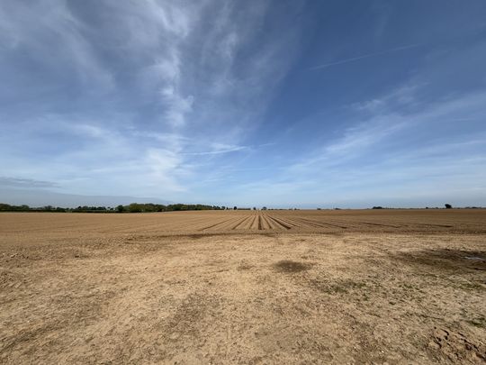 Pollard Street, Norwich, Bacton - Photo 1