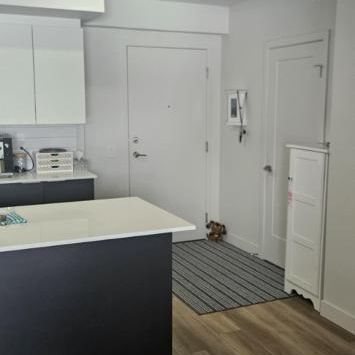 Condo locatif 41/2 Cession de bail pour juillet et août 2026. Renouvellement en septembre avec le gestionnaire. - Photo 4