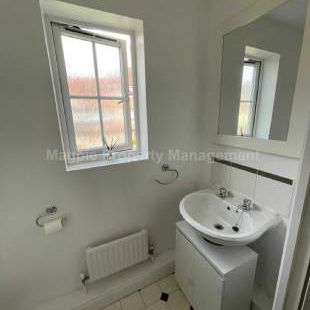 1 bedroom property to rent in Hatfield - Photo 4