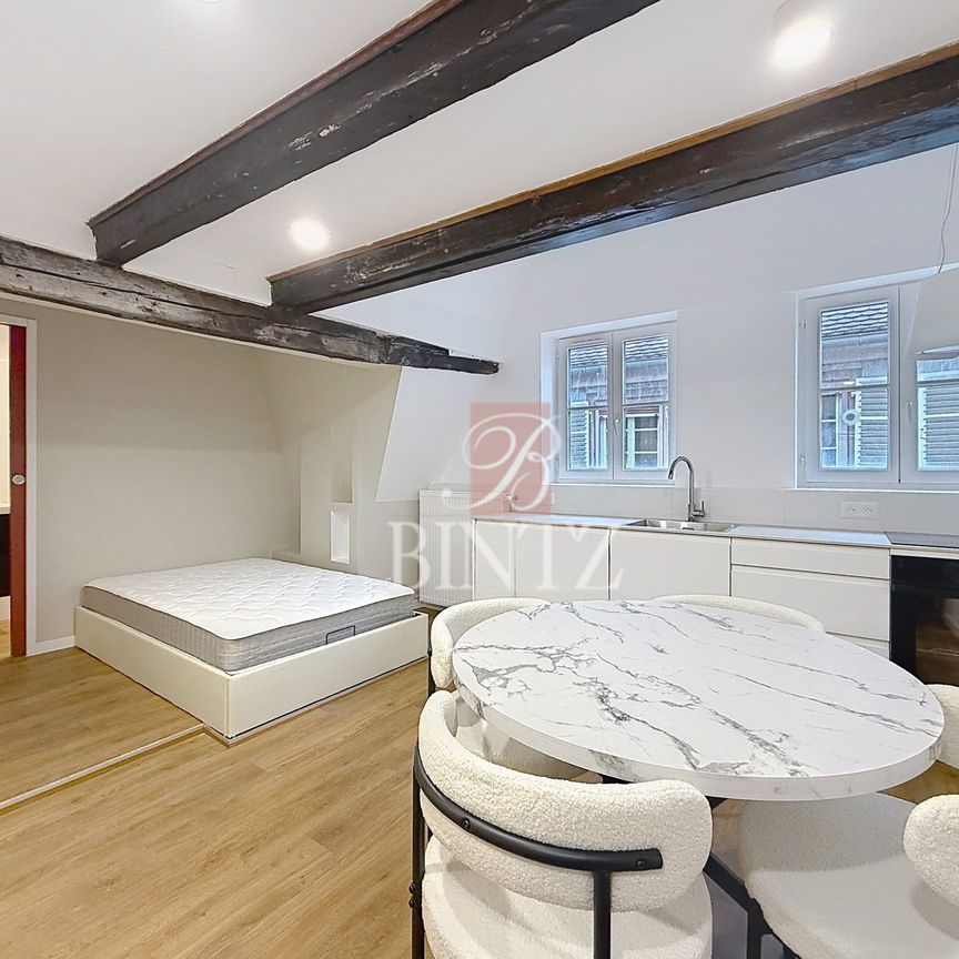 LOCATION APPARTEMENT - 19.80m² - Strasbourg - Photo 1