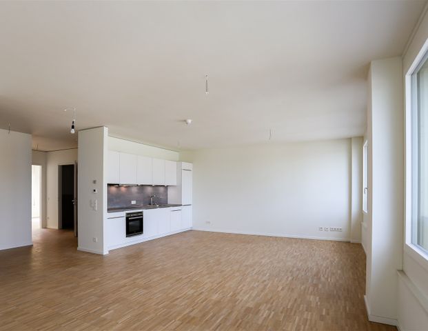 Großzügige 2-Zi.-Wohnung mit tollem Ausblick auf den Nordhafenplatz *Bezug ab sofort* - Foto 1