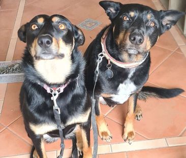 Altona Meadows - Photo 5