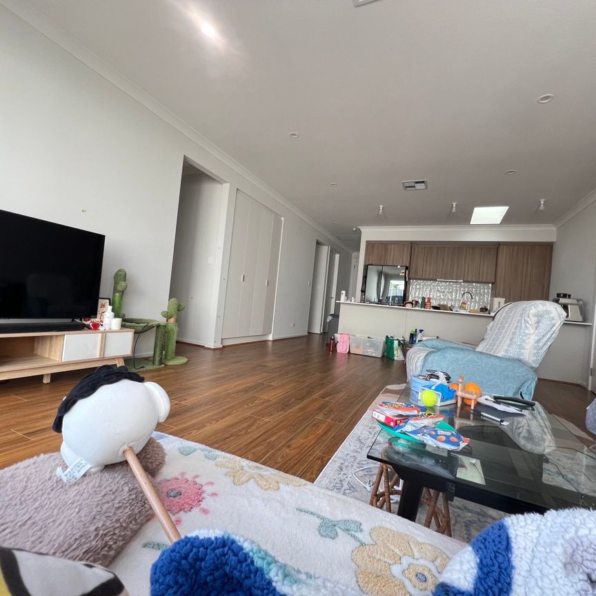 Hectorville - Photo 1