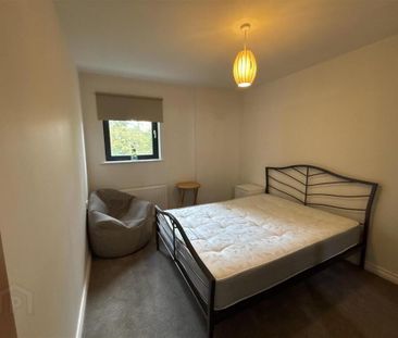 Apartment 14 1 Luna Building, Redwood Court, Dunmurry, Belfast, BT1... - Photo 6