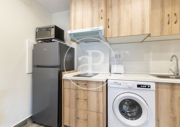 Loft for rent with views in Patraix (Valencia)