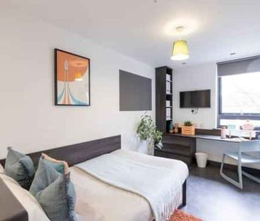 Deluxe Studio - Photo 3