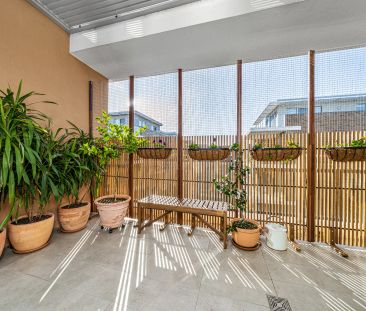 Modern Executive Living with Blue Mountains Views - Photo 2