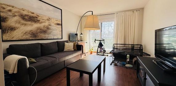 Appartement 3 ½ à louer Sainte-Foy / Sillery juillet 2026 - Photo 2