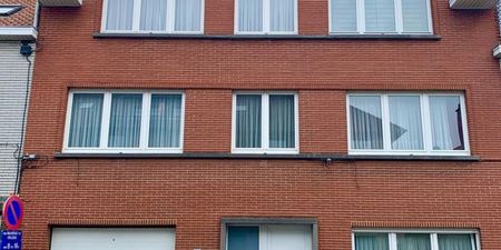 Appartement te huur in Sint-Pieters-Leeuw voor € 820 met 1 slaapkamer - Photo 2