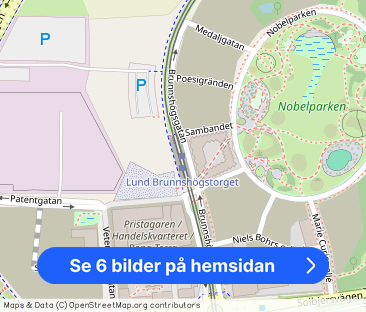 Brunnshögsgatan, Lund - Foto 1