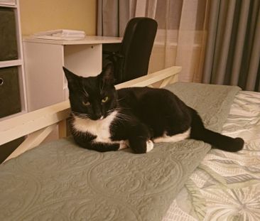 Elizabeth Park - Photo 6