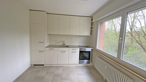 Wohnen am Park – Ihr neues Zuhause direkt an der Birs - Photo 1