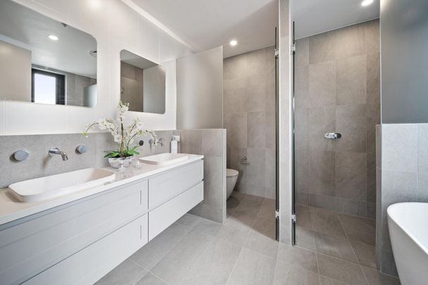 17/6 Lady Nelson Place, Red Hill ACT 2603 - Apartment For Rent | Domain - Photo 1