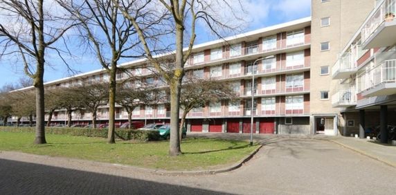 Predikherenlaan 0ong, 5042 Tilburg, Nederland - Photo 2