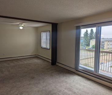 SMALL PETS OK! 3rd Floor Studio Apartment on the South Hill - Photo 4