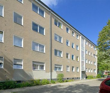 Sanierte Wohnung sucht Mitbewohner - Foto 1