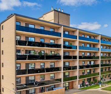 For Lease - 573 North Service Road Unit# 504, Mississauga, Ontario - Photo 5