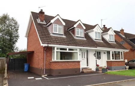 14 Moorland Park, Lisburn, BT28 2XT - Photo 5