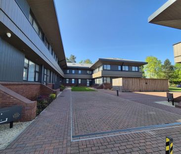 1 bedroom ground floor maisonette to rent - Photo 4