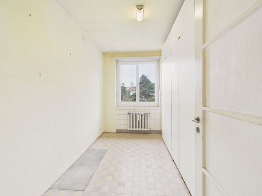 Generous 5.5-room apartment in Allschwil - Photo 1