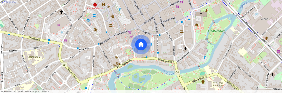 Filosofhaven 7, 3. tv., 5000 Odense C