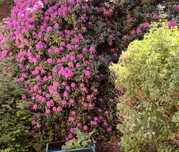 Viktoriagatan, Göteborg - Photo 2