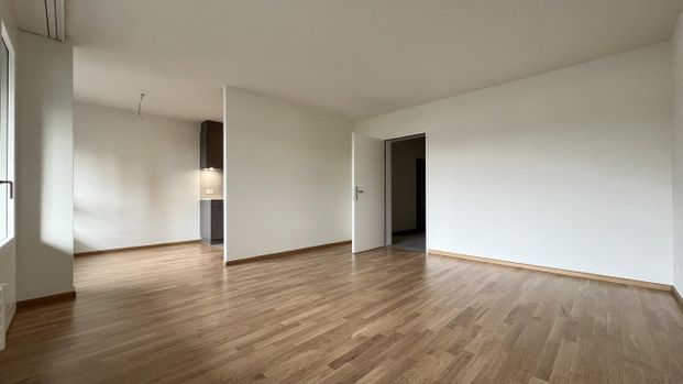 Moderne Wohnung im Herzen von Kleinhüningen - Photo 1