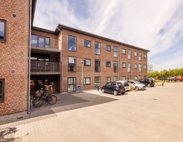 Annebergvej - Photo 1