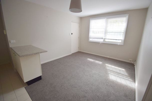 Wonderful One Bedroom Unit in Leafy Enmore! - Photo 1