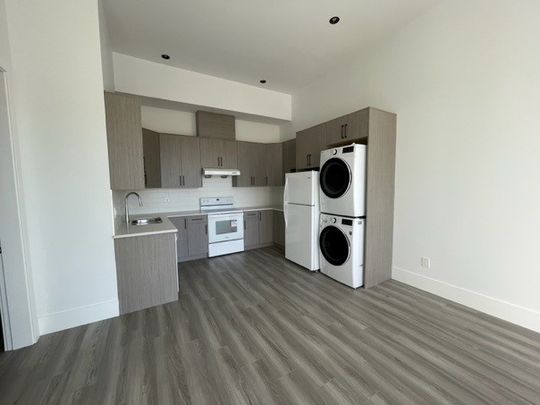 Beautiful 2 Bed Suite/View/North Delta - Photo 1