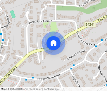 Fields Park Road, Newport, - Photo 1