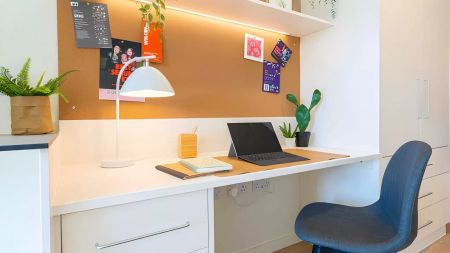 Gold Studio Plus Deluxe - Photo 5