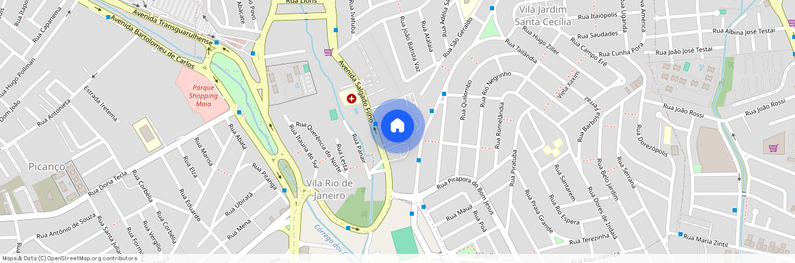 Avenida Salgado Filho, 2844, Centro, Guarulhos, São Paulo, 07115-000
