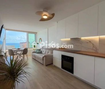 Piso en alquiler en Torrevieja - Foto 1