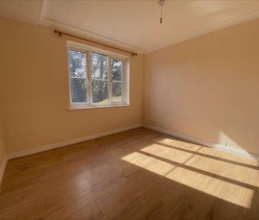 Bewick Court, CO9 - Photo 3